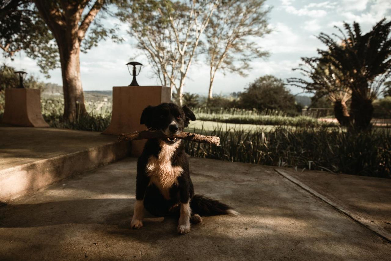 Boschoek Farm Tzaneen Dış mekan fotoğraf